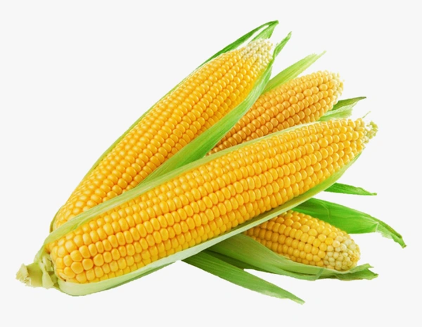 Corn Candy - 1 Pack